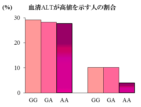 COMTタンパク質が熱不安定性となる遺伝子多型