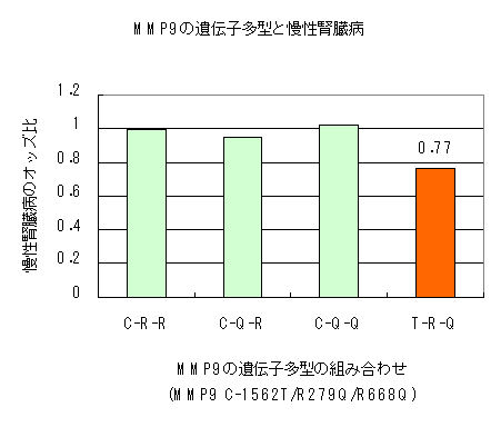 MMP-9の遺伝子多型と慢性腎臓病 MMP-9の遺伝子多型と慢性腎臓病