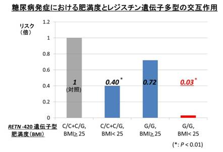 17-retn420 糖尿病発症における肥満度とレジスチン遺伝子多型の交互作用