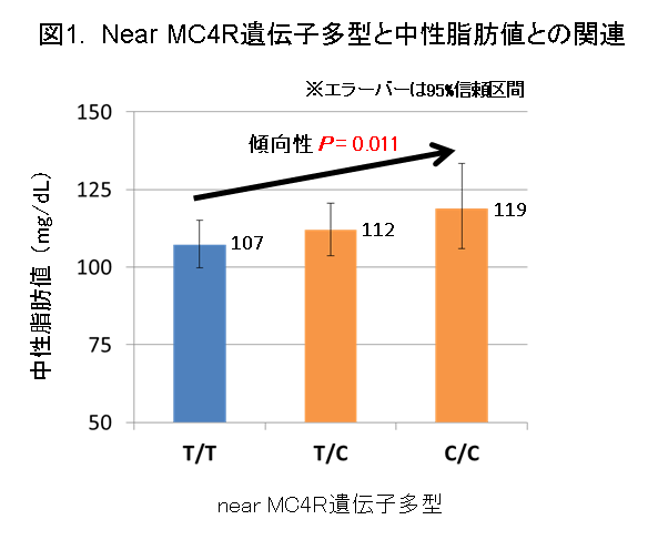 figure1_140617 図1. Near MC4R遺伝子多型と中性脂肪値との関連