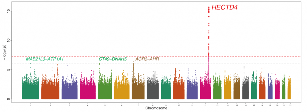 nakagawa_fig1 図1.マンハッタンプロット(性、年齢、喫煙、BMI補正済み)