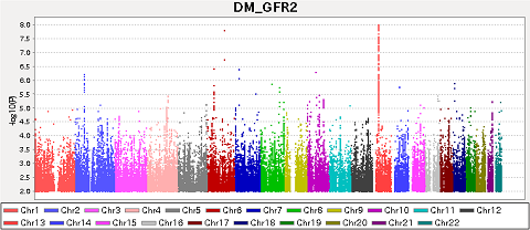 nakamura_fig1_480 図1 日本人糖尿病患者の腎機能に関連する遺伝子多型のマンハッタンプロット