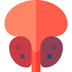 図1ProstateCancer菱田