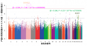 図2PSAmanhattan菱田